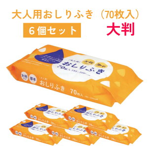 ӂ 唻   mAR[ lp 70 6Zbg ʂ^I EFbgV[g 傫 ̐@   \h  ꂢ bW z[wp[ V{ { 