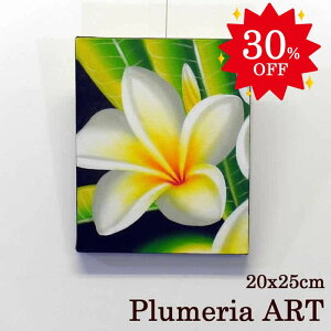 yX[p[Z[30%ItzvA G vAS[001 oG G AWA nCA CeAA[g oA[g  Ǐ  ` nhCh } ][g 썑