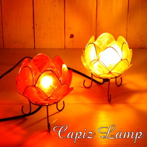 yő唼zN[|zzIzCgEƖ AWAG CeA vJsX[^XvS AWAv 킢 @̃Cg