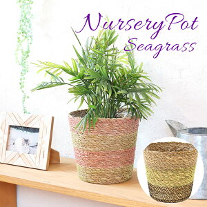 y{|Cg5{Iz oXPbg i[Z[|bg V[OX v^[ |bg   JS  [ GR i`  nhCh  ҂ AWAG݃O[