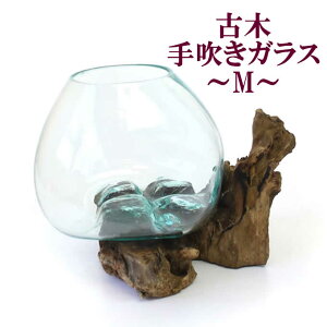 y{|Cg5{IzÖ؎萁KX MiKXF15cm) KX  t[x[X ԕr Ԋ  AWAG u VR Ö ؐ