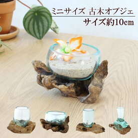 【本日ポイント5倍！】古木手吹ガラス S ガラス 器 フラワーベース プランター 花瓶 テラリウム アクアリウム 花器 バリ風 オブジェ アジアン雑貨 置物 飾り 天然木 古木 木製 木 ハンドメイド 流木ボウル ワイドボウル シリンダー クビレ
