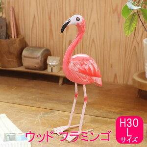 y{|Cg3{IzEbht~S L H30 u  t~S  Aj} 킢  ؐ ؒ Mtg v[g 蕨 N 30cm IuWF  CeA nhCh E