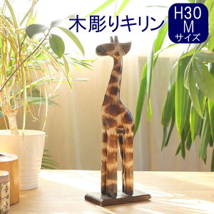 y{|Cg5{IzؒL H30 u    Aj} 킢  ؐ ؒ Mtg v[g 蕨 N 30cm IuWF CeA AeB[N nhCh Ebh