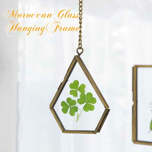 y{|Cg5{IzbJ KXnMOt[ hbv   ʐ^ |XgJ[h hCt[   EH[CeA tHgt[ t[ ݂邵 AW