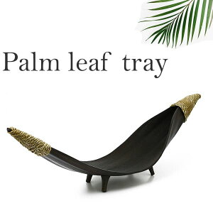 y{|Cg5{Izp[[t gC p_ AWAG  u  gC ₵ V  nCA } ][g