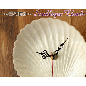 y{|Cg5{IzAWAG JsXL VF XJbv z^e Lk v NbN썑 ][g }