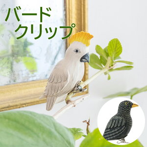 yX[p[Z[zo[hNbv Aj}  Ƃ  o[h ؒ Ebh u  Nbv nCAG fBXvC gsJ } 킢  ؐ IuWF Ce