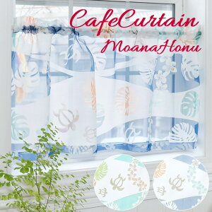 y{|Cg5{IzJtFJ[e Aizk  nCA zk Xe C Lb`J[e AWAG z t@ubN  ₩ z Ԏd؂ CeA V