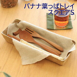 yX[p[Z[zoiitσgC XNGAS oii[t AWAG u  gC Jg[ fBXvC R VRf 썑 ][g nCA