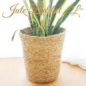 y{|Cg5{Iz oXPbg W[gL v^[Jo[  JS  [ GR i` W[g _Xg{bNX ݔ nhCh  ҂ AWAG