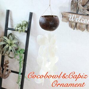 y{|Cg5{IznCAG RR{EJsX I[ig ݂邵 K[h ^yXg[ EH[fR[V AWAG CeA L VF Lk JsXL RR