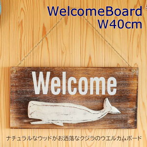 y{|Cg5{IzEFJ{[h NW CeA }  ݂邷 I[ig ǖ fBXvC TC{[h NW  썑 AWAG nCAG    