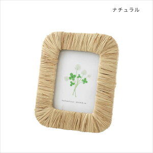 y{|Cg5{IztBAt[ S tHgt[ ʐ^ nCAG tBA q AWAG CeA  fBXvC C