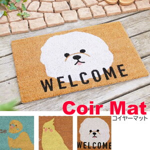 y{|Cg5{Izփ}bg O DƂ O rVt[[ RC[}bg Aj}  킢 DƂ k i`  l  AWAG q V R