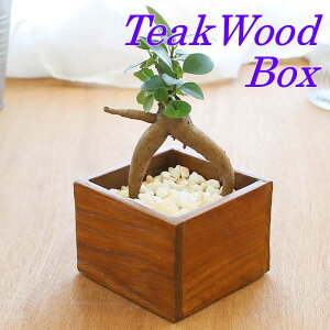 yő唼zN[|zzIz`[N{bNX ؐ Ebh  `[NEbh  BOX [ C l AWAG CeA VRf  _