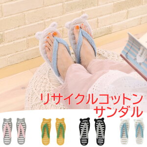 y{|Cg5{Iz[T_ [V[Y TCNRbgT_ yA   r[`T_ fB[X Y Xbp ₷ Ȃ } C nCA