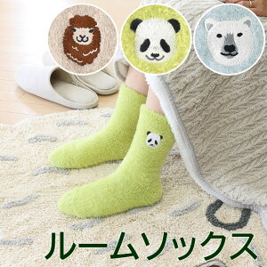 y{|Cg5{Iz[\bNX Aj} 킢  C  \bNX ւ     ӂӂ  \bNX ApJ p_ VN} 