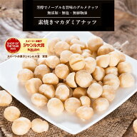 素焼きマカダミアナッツ 500g 送料無料 高品質なマカダミアナッツ使用 大人気 マカダミアナッツ 素焼きナ…