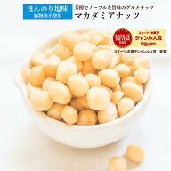 マカダミアナッツロースト薄塩味 500g 送料無料 マカダミアナッツ 高品質なマカダミアナッツ使用 うす塩…