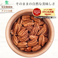 ピーカンナッツ 500g 生ピーカンナッツ アメリカ産 完全無添加 ピーカンナッツ 生ナッツ ペカンナッツ ナ…