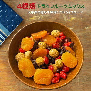 hCt[c 4ރhCt[c~bNX AvRbg  [Y `F[ hCt[c t[c~bNX  ܂ fU[g gbsO N