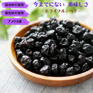 ドライブルーベリー 1kg ブルーベリー アメリカ産 カルチベイト種 ドライフルーツ 保存料不使用 着色料不…