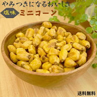 ジャイアントコーン 700g 塩味 ミニコーン おつまみ 送料無料トウモロコシ ジャイコーン ジャイコン 塩味…