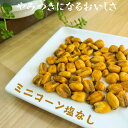 ジャイアントコーン 1kg 塩なし ミニコーン おつまみ 送料無料トウモロコシ ジャイコーン ジャイコン 無塩 保存に便利なチャック付 ビール 家飲み お酒 お菓子 おやつ【送料無料】