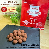 チョコレート 500g (250g x 2袋) ヘーゼルナッツ ミルクチョコレート ヘーゼルナッツチョコ とろけるカカ…