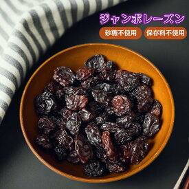 レーズン ジャンボレーズン 大粒レーズン ドライレーズン 砂糖不使用 干しぶどう 干しフルーツ ドライフルーツ おやつ おつまみ デザート【送料無料】