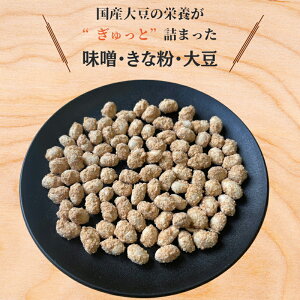 哤 XEȕE哤 ibcَq 哤 َq ȕ哤  XibN X哤 哤َq ibc  ܂ p gbsO Ɩp ƒp N