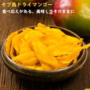セブ島マンゴー 1kg ドライマンゴー ドライフルーツ 切り落とし マンゴー フィリピン産 干しマンゴー 高品質 おやつ おつまみ デザート【送料無料】