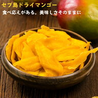 セブ島マンゴー 300g ドライマンゴー ドライフルーツ 切り落とし マンゴー フィリピン産 干しマンゴー 高…