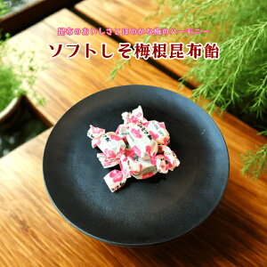 \tg~z z ~z z \tg َq  zَq َq p  ܂ fU[g