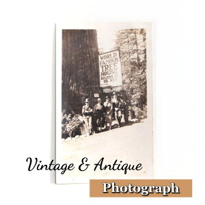 yz1920s 1930s 1940s IWi ZsA  mN Xibvʐ^ rbOc[ I[h re[W AeB[N RNV U.S.A č