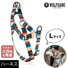 楽天市場 ハーネス 人間の通販