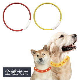 セーフティカラー【全種犬用】 SAFETY COLLAR ペット 犬 猫 夜の散歩 首輪 アウトドア ランニング ウォーキング USB充電 正規品 【メール便対応商品1点まで】