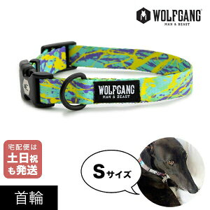  STCY ^p WOLFGANG MAN & BEAST _LoX ModernCanvas EtMO }&r[Xg WC-001-103 AJ ȒP v \tg  y[֑Ήi3_܂Łz