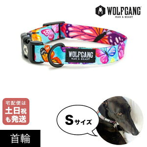  STCY ^p WOLFGANG MAN & BEAST tb^[J[ FlutterColor EtMO }&r[Xg WC-001-109 AJ ȒP v \tg  y[֑Ήi3_܂Łz