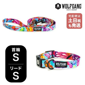 EtMO }Ahr[Xg փ[hZbg STCY ^p WOLFGANG MAN & BEAST FlutterColor WC-001-WL-001-109 AJ ȒP v \tg  y[֑Ήi1Zbg܂Łz