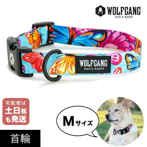  MTCY ^p WOLFGANG MAN & BEAST tb^[J[ FlutterColor EtMO }&r[Xg WC-002-109 AJ ȒP v \tg  y[֑Ήi3_܂Łz