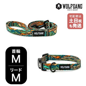 EtMO }Ahr[Xg փ[hZbg MMTCY ^p WOLFGANG MAN & BEAST WildWolf WC-002-WL-002-113 AJ ȒP v \tg  y[֑Ήi1Zbg܂Łz