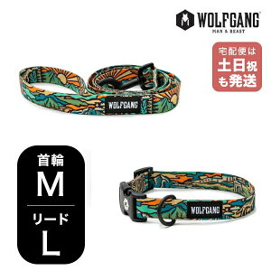 EtMO }Ahr[Xg փ[hZbg MLTCY ^p WOLFGANG MAN & BEAST WildWolf WC-002-WL-003-113 AJ ȒP v \tg  y[֑Ήi1Zbg܂Łz