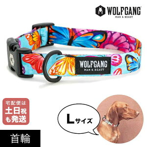  LTCY ^p WOLFGANG MAN & BEAST tb^[J[ FlutterColor EtMO }&r[Xg WC-003-109 AJ ȒP v \tg  y[֑Ήi3_܂Łz