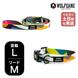 EtMO }Ahr[Xg փ[hZbg LMTCY ^p WOLFGANG MAN & BEAST BoneYard WC-003-WL-002-112 AJ ȒP v \tg  y[֑Ήi1Zbg܂Łz