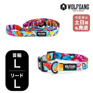 EtMO }Ahr[Xg փ[hZbg LLTCY ^p WOLFGANG MAN & BEAST FlutterColor WC-003-WL-003-109 AJ ȒP v \tg  y[֑Ήi1Zbg܂Łz