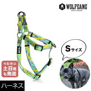 n[lX STCY ^p WOLFGANG MAN & BEAST _LoX ModernCanvas EtMO }&r[XgWH-001-103 AJ ȒP v \tg  y[֑Ήi3_܂Łz