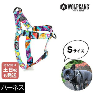 n[lX STCY ^p WOLFGANG MAN & BEAST tb^[J[ FlutterColor EtMO }&r[Xg WH-001-109 AJ ȒP v \tg  y[֑Ήi3_܂Łz
