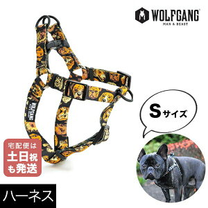 n[lX STCY ^p WOLFGANG MAN & BEAST }OVbg MugShot EtMO }&r[XgWH-001-110 AJ ȒP v \tg  y[֑Ήi3_܂Łz